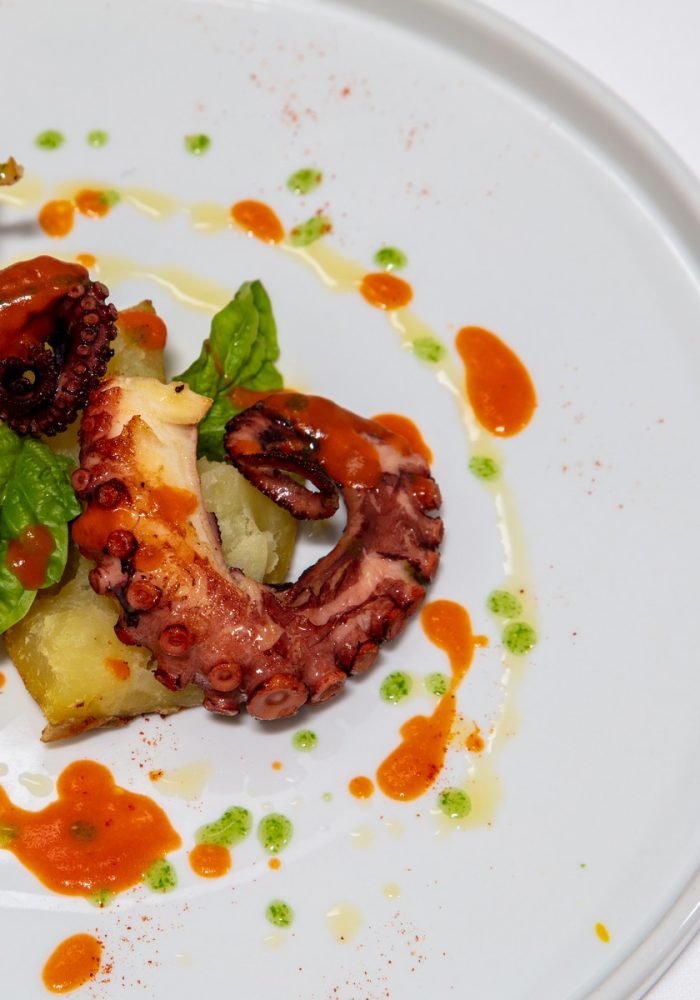 polpo antica cucina 1983 ristoranti di pesce a barletta polpo: pesce fresco al nostro ristorante a barletta